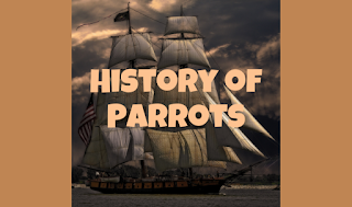 The History of Parrots