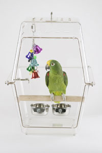 Wingabago® Bird Carrier – The Parrot Mom, LLC