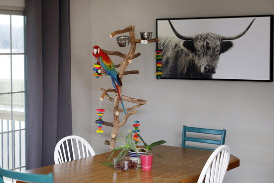 Our Customers love their parrot play stand for The Parrot Mom, LLC