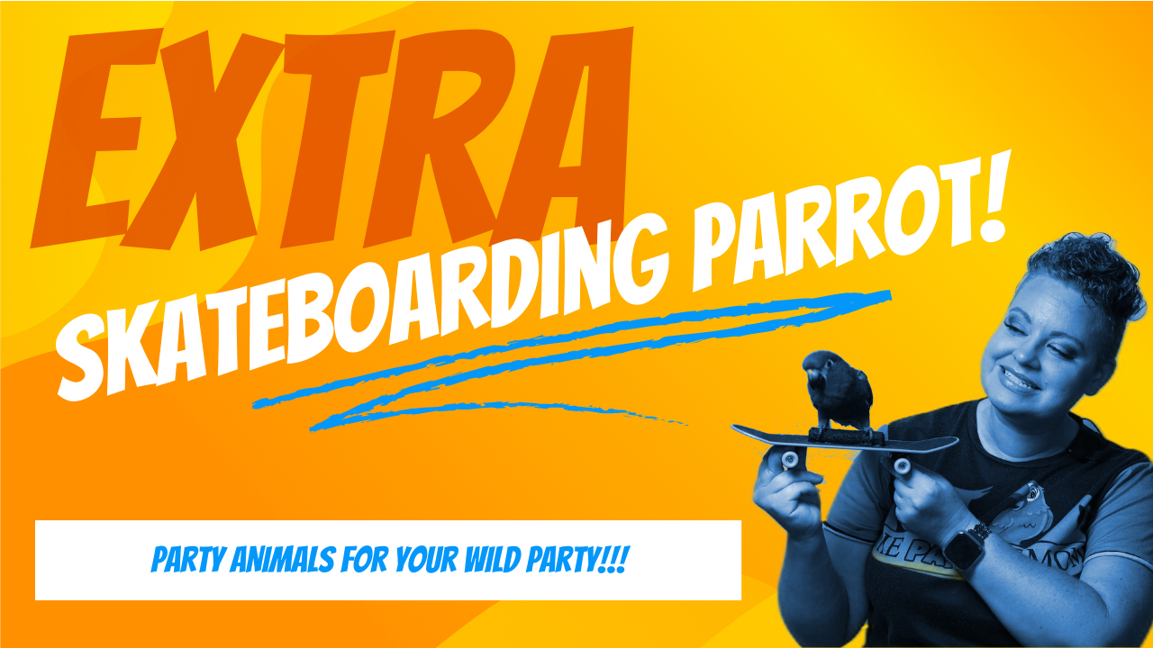 Load video: Skateboarding Parrot provides great family entertainment for birthday parties, fairs, and school events