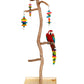 Natural Dragon Wood Parrot Tree Stand Perch, Xerch Perch, The Parrot Mom, Bird Tree, Parrot Play Stand, Wood Tree Perch, Macaw Perch, Bird Tree Stand, Bird T Stand, Modular Parrot Tree Stand, Dragon Wood,