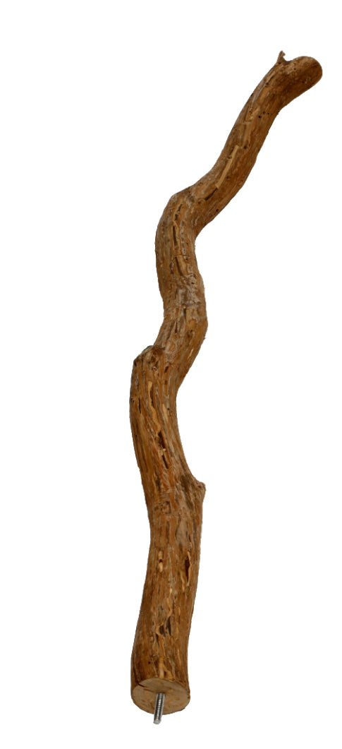 Natural Dragon Wood Parrot Perch Trunk, Xerch Perch, The Parrot Mom, Bird Tree, Parrot Play Stand, Wood Tree Perch, Macaw Perch, Bird Tree Stand, Dragon Wood,