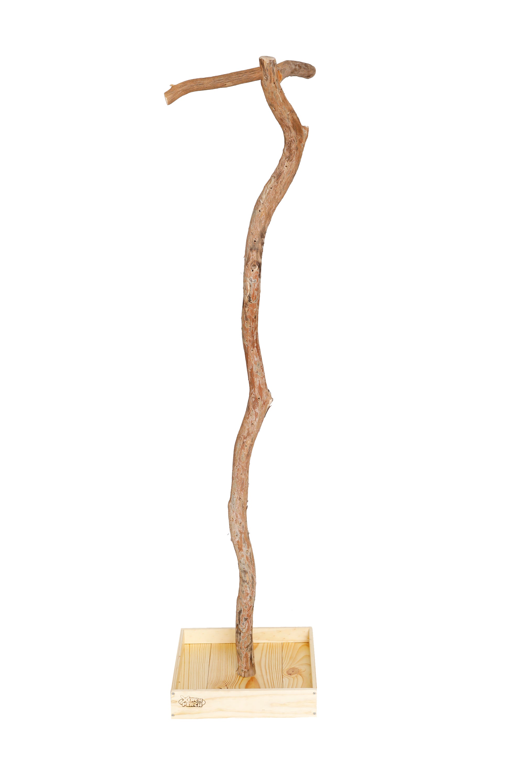 Natural DragonWood Parrot Stand Perch - Extra Tall – The Parrot Mom, LLC