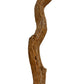 Natural Dragon Wood Parrot Perch Trunk, Xerch Perch, The Parrot Mom, Bird Tree, Parrot Play Stand, Wood Tree Perch, Macaw Perch, Bird Tree Stand, Dragon Wood,