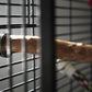 Bird Cage Adapter for Parrot Perch, Xerch Perch, The Parrot Mom, Bird Tree, Parrot Play Stand, Wood Tree Perch, Macaw Perch, Bird Tree Stand