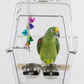The lightweight, transparent Wingabago® carrier for birds and exotic pets gives your pet a clear view of their surroundings and allows you to monitor their safety quickly. Birds do not feel trapped or claustrophobic in the Wingabago®. They can see out and you can see in. Veterinarians consulted indicated bird experience less stress during travel if they can see their owners. This is the best bird carrier for parrots. The SMALL is good for Cockatiels, Senegal Parrots, Caiques, Quaker Parrots, conure,